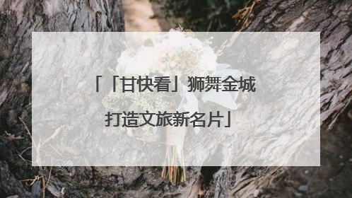 「甘快看」狮舞金城 打造文旅新名片