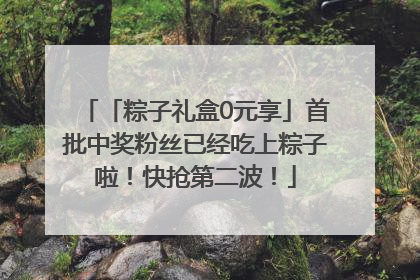 「粽子礼盒0元享」首批中奖粉丝已经吃上粽子啦！快抢第二波！
