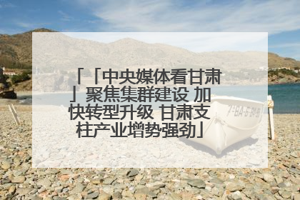 「中央媒体看甘肃」聚焦集群建设 加快转型升级 甘肃支柱产业增势强劲