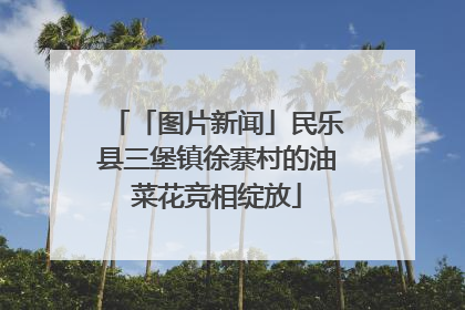 「图片新闻」民乐县三堡镇徐寨村的油菜花竞相绽放