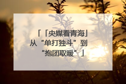 「央媒看青海」从“单打独斗”到“抱团取暖”