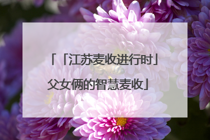 「江苏麦收进行时」父女俩的智慧麦收