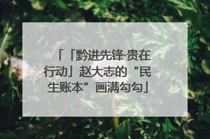 「黔进先锋·贵在行动」赵大志的“民生账本”画满勾勾
