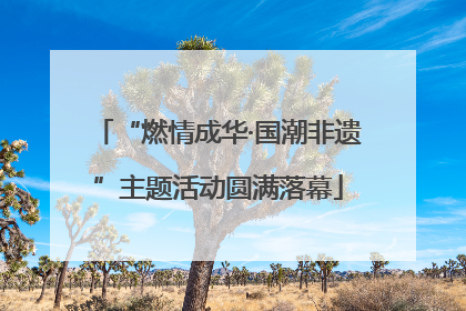 “燃情成华·国潮非遗”主题活动圆满落幕