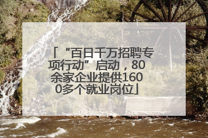 “百日千万招聘专项行动”启动，80余家企业提供1600多个就业岗位