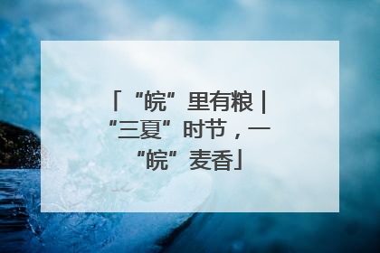 “皖”里有粮｜“三夏”时节，一“皖”麦香