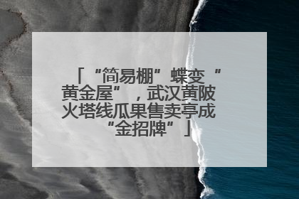 “简易棚”蝶变“黄金屋”，武汉黄陂火塔线瓜果售卖亭成“金招牌”