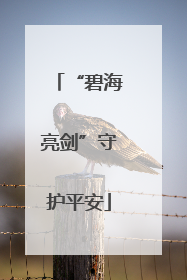 “碧海亮剑”守护平安