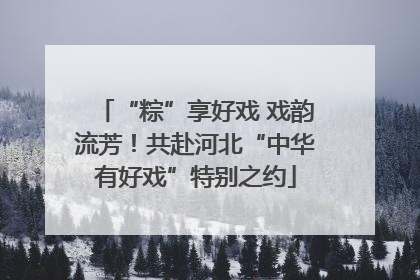 “粽”享好戏 戏韵流芳！共赴河北“中华有好戏”特别之约