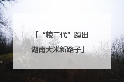 “粮二代”蹚出湖南大米新路子