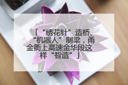 “绣花针”造桥、“机器人”制梁，甬金衢上高速金华段这样“智造”
