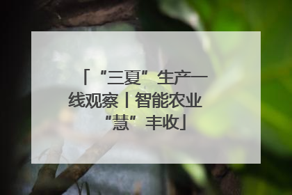 “三夏”生产一线观察丨智能农业“慧”丰收