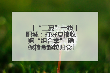 “三夏”一线丨肥城：打好夏粮收购“组合拳” 确保粮食颗粒归仓