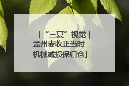 “三夏”视觉｜孟州麦收正当时 机械减损保归仓