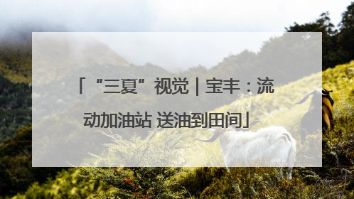 “三夏”视觉｜宝丰：流动加油站 送油到田间