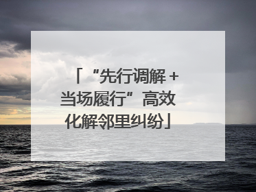 “先行调解＋当场履行”高效化解邻里纠纷