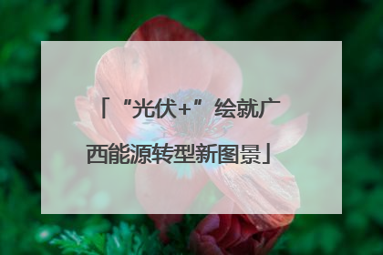“光伏+”绘就广西能源转型新图景