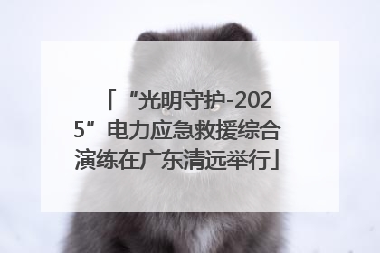 “光明守护-2025”电力应急救援综合演练在广东清远举行