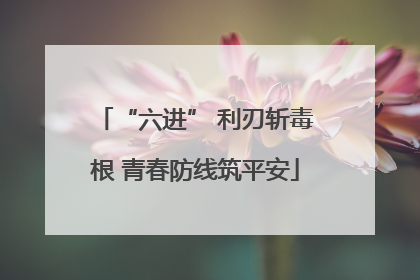 “六进” 利刃斩毒根 青春防线筑平安