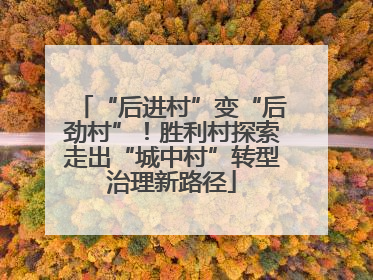 “后进村”变“后劲村”！胜利村探索走出“城中村”转型治理新路径