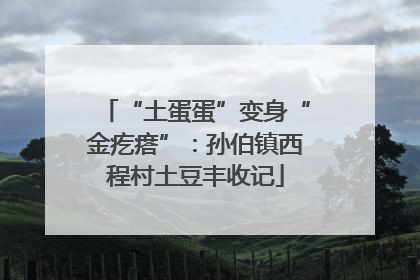 “土蛋蛋”变身“金疙瘩”：孙伯镇西程村土豆丰收记
