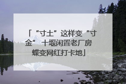 “寸土”这样变“寸金” 十堰闲置老厂房蝶变网红打卡地