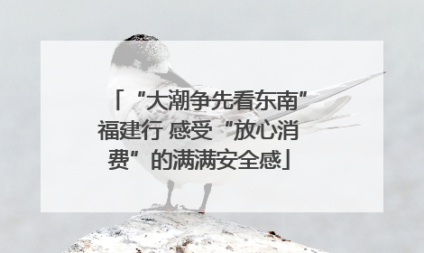 “大潮争先看东南”福建行 感受“放心消费”的满满安全感
