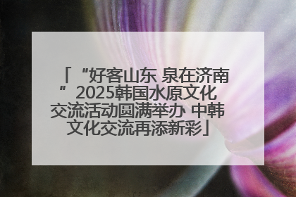 “好客山东 泉在济南”2025韩国水原文化交流活动圆满举办 中韩文化交流再添新彩