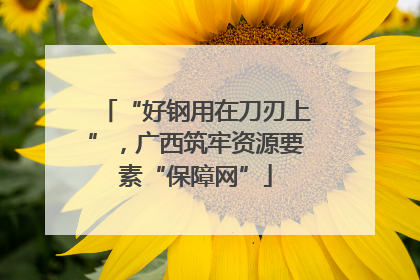 “好钢用在刀刃上”，广西筑牢资源要素“保障网”