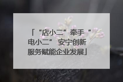 “店小二”牵手“电小二” 安宁创新服务赋能企业发展