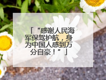 “感谢人民海军保驾护航，身为中国人感到万分自豪！”