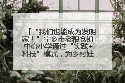 “我们也能成为发明家！”宁乡市老粮仓镇中心小学通过“实践+科技”模式，为乡村娃探索教育新路径
