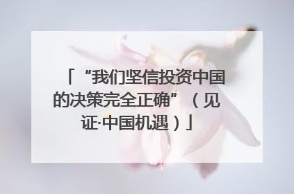 “我们坚信投资中国的决策完全正确”（见证·中国机遇）