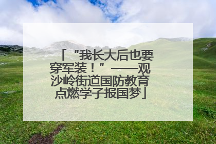 “我长大后也要穿军装！”——观沙岭街道国防教育点燃学子报国梦