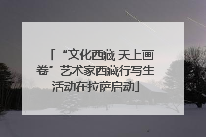 “文化西藏 天上画卷”艺术家西藏行写生活动在拉萨启动