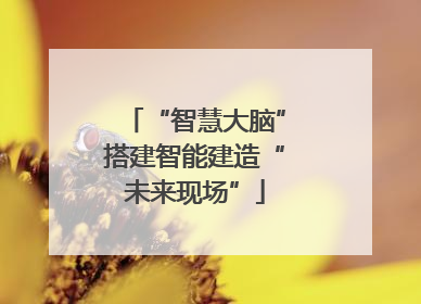 “智慧大脑”搭建智能建造“未来现场”