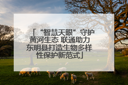 “智慧天眼”守护黄河生态 联通助力东明县打造生物多样性保护新范式