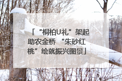 “桐柏U礼”架起助农金桥 “朱砂红桃”绘就振兴图景