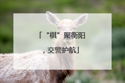 “棋”聚衡阳，交警护航