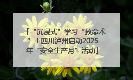 “沉浸式”学习“救命术”！四川泸州启动2025年“安全生产月”活动