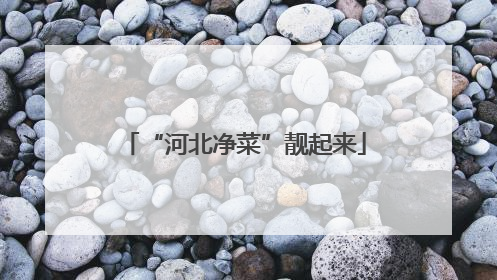 “河北净菜”靓起来