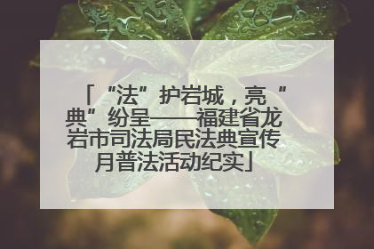 “法”护岩城，亮“典”纷呈——福建省龙岩市司法局民法典宣传月普法活动纪实