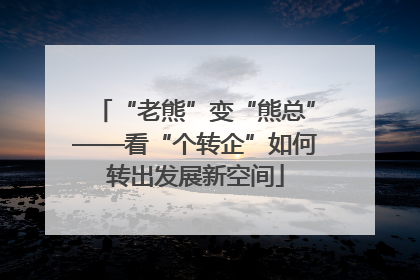 “老熊”变“熊总”——看“个转企”如何转出发展新空间