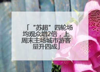 “苏超”四轮场均观众增2倍，上周末主场城市游客量升四成