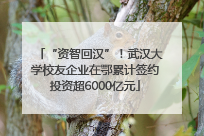 “资智回汉”！武汉大学校友企业在鄂累计签约投资超6000亿元