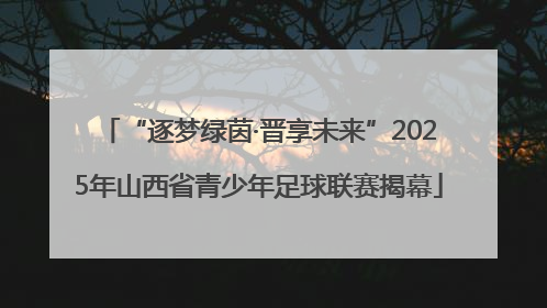 “逐梦绿茵·晋享未来”2025年山西省青少年足球联赛揭幕