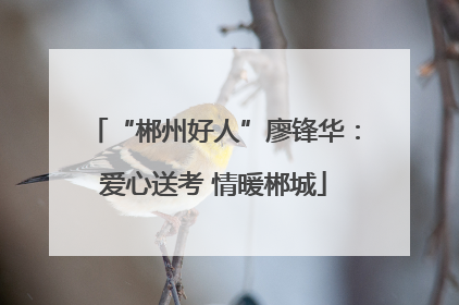 “郴州好人”廖锋华：爱心送考 情暖郴城