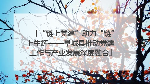 “链上党建”助力“链”上生辉——阜城县推动党建工作与产业发展深度融合