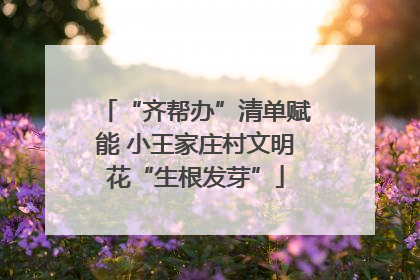 “齐帮办”清单赋能 小王家庄村文明花“生根发芽”