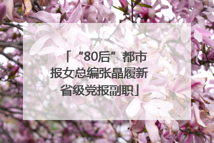 “80后”都市报女总编张晶履新省级党报副职